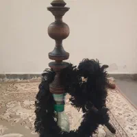 قلیان هلو  نوع تنه درخت گردو  حفت سالع قلیانه