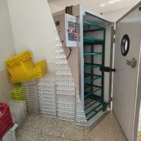 دستگاه جوجه کشی نیمه صنعتی