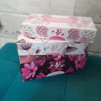 دستمال کاغذی|مواد شوینده و دستمال کاغذی|اندیمشک, |دیوار