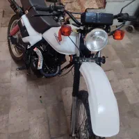 تریل آمیکو پلاک ملی