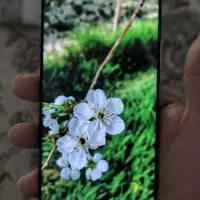 گوشی mi 13 lite|موبایل|مشهد, گاز|دیوار