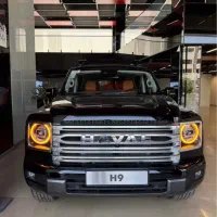هاوال (شوال) H9 2025/سندبه‌نام/ اقساط و تحویل روز