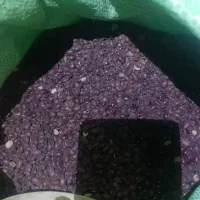 بادام درختی|خوردنی و آشامیدنی|سده (فارس), |دیوار