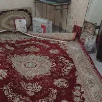 یخچال وفرش|فرش|شیراز, غدیر جنوبی|دیوار