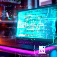 برنامه نویسی و طراحی وب سایت (رایاناپ)