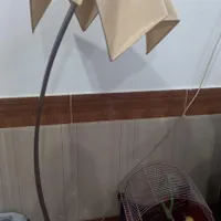آباژور