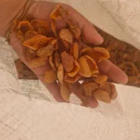 برگه زرد آلو تازه خشک شده کاملا خوشمزه وترش|خوردنی و آشامیدنی|اراک, |دیوار
