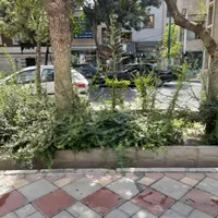 اجاره مغازه ۱۵ متری در صفائیه (چشمه علی)|اجارهٔ مغازه و غرفه|تهران, صفائیه (چشمه علی)|دیوار