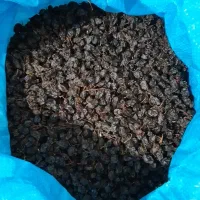 مویز عالی