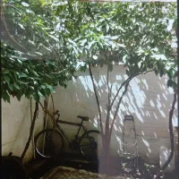 یک خانه دربست|اجارهٔ خانه و ویلا|تهران, کوهسار|دیوار