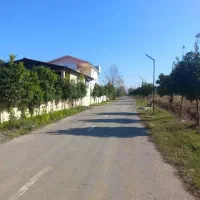 فروش-زمین-266m-کاربری-مسکونی-باسندتکبرگ-نور