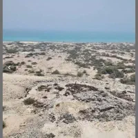 امتیاز نیک ترابر فاز ۴