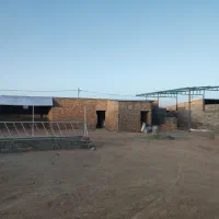 گاوداری مود|فروش زمین و ملک کلنگی|مود, |دیوار