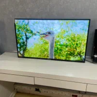 تلویزیون ۴۳ اینچ دوو