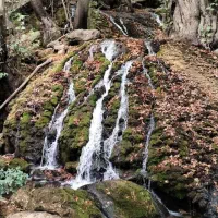 برنامه گردشگری نشاط ۲۳ مردادماه بیشه تی درود