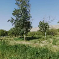 فروش باغ ویلایی در باغ شهر اسکو|فروش زمین و ملک کلنگی|اسکو, |دیوار