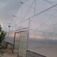 گلخانه به متراژ 15000 متراژ 2000متر درختان میوه|فروش دفتر صنعتی، کشاورزی، تجاری|هشتگرد, تهران دشت|دیوار