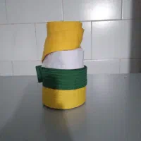 کمربند تکواندو