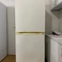 یخچال|یخچال و فریزر|دورود, |دیوار