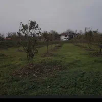 باغ-صدرا-گلبهار