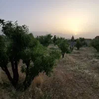 ویلاباغ ۲۸۰۰ متری سیاخ دارنگون