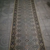 بقل فرشی