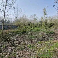 زمین-500-متری-مسکونی