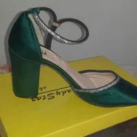 کفش مجلسی -زمستانی|کیف، کفش، کمربند|گنبد کاووس, |دیوار