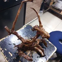 چوب آبنوس|ماهی|اهواز, کمپلو جنوبی|دیوار