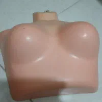 مانکن نیم تنه پلاستیکی زنانه|لوازم خیاطی و بافتنی|سنندج, |دیوار