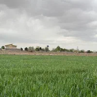 فروش باغچه ۱۰۰۰ متری در بازار|فروش زمین و ملک کلنگی|تهران, بازار|دیوار
