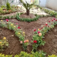 خدمات باغبانی گل کاری ارسکاری و تعویض خاک گلدون
