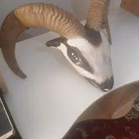 میز کامپیوتر تحریر