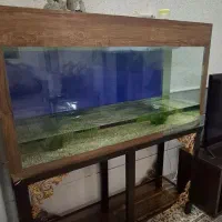 آکواریوم ابعاد ۱۳۵×۷۵×۴۰|ماهی|سمنان, |دیوار