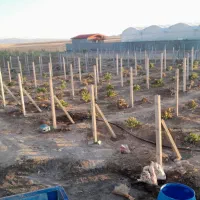 بلوک و پایه فنس|مصالح و تجهیزات ساختمان|کبودرآهنگ, |دیوار