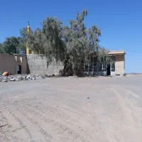 فروش فوری 800متر زمین با مغازه|فروش مغازه و غرفه|فهرج, |دیوار