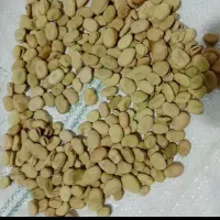 3تن موجود|خوردنی و آشامیدنی|مهربان, |دیوار