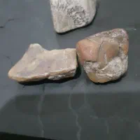 ۲ عدد کهربای اصل وزن حدودا۶ت۷گرم یکشجرگیلان|کلکسیون اشیاء عتیقه|بندر انزلی, سید آسیه|دیوار