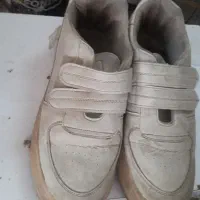کفش و کتانی زنانه|کیف، کفش، کمربند|رشت, استقامت ۲|دیوار