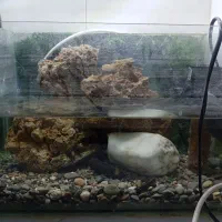 آکواریوم با وسایلش