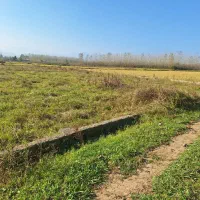 فروش زمین ۲۵۰ متری در ماسال|فروش زمین و ملک کلنگی|طاهرگوراب, |دیوار