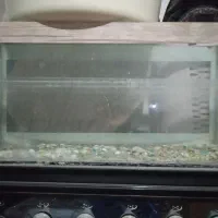 اکواریوم سالم