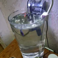 اکواریوم