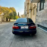 ماکسیما هفت رنگ خونگی