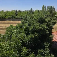 باغچه  دنج
