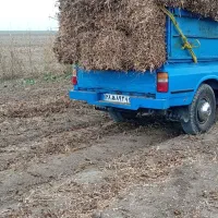 کاه و کلش سویه پر پین