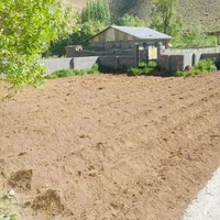 فروش زمین 430 متری داخل بافت|فروش زمین و ملک کلنگی|بلده, |دیوار