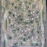 فرش ۱۲۰۱ سبز ۱۲۰۰ شانه نخ اکریلیک ۱۲ - ۹ - ۶ متری