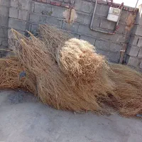 جارو دستی طبیعی