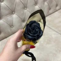 گل های تک شاخه دونه ۷۰تومن|گل مصنوعی|سبزوار, علمدار|دیوار